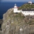 Bull Rock Lighthouse