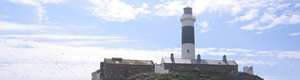 Rockabill 3