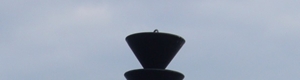 Spar Buoy